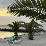 Palm *