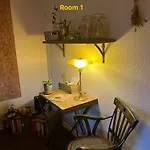 Palm *