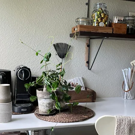 בית אירוח Palm *