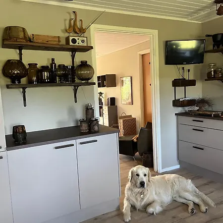 בית אירוח Palm