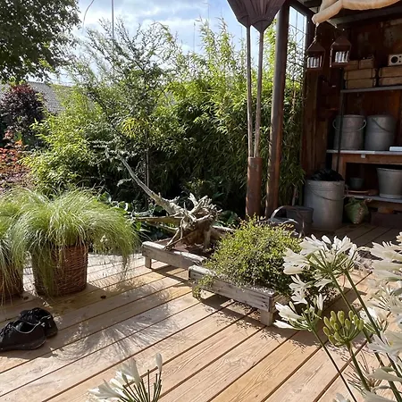 Palm * פרדריקשבן