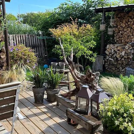 Palm Homestay Frederikshavn
