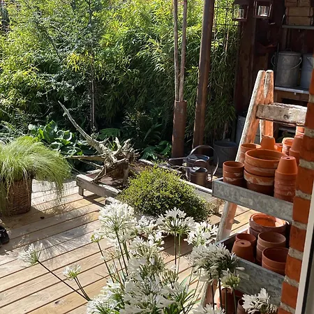 Palm * פרדריקשבן