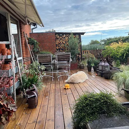 Palm * Frederikshavn