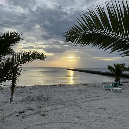 בית אירוח Palm