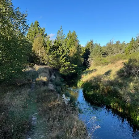 בית אירוח Palm פרדריקשבן