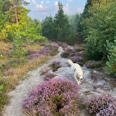 Palm בית אירוח *