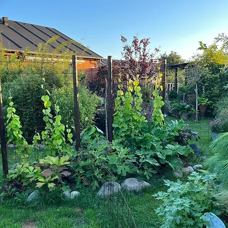 בית אירוח Palm