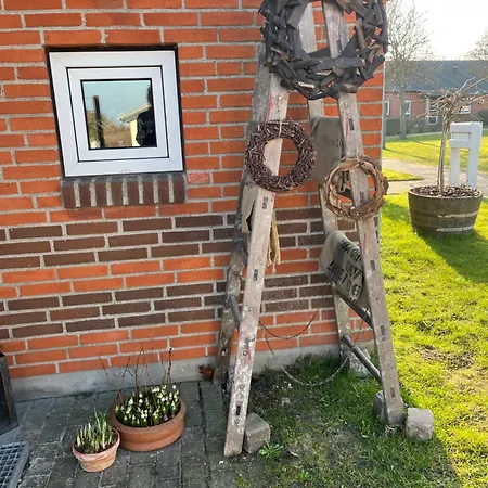 Homestay Palm Frederikshavn
