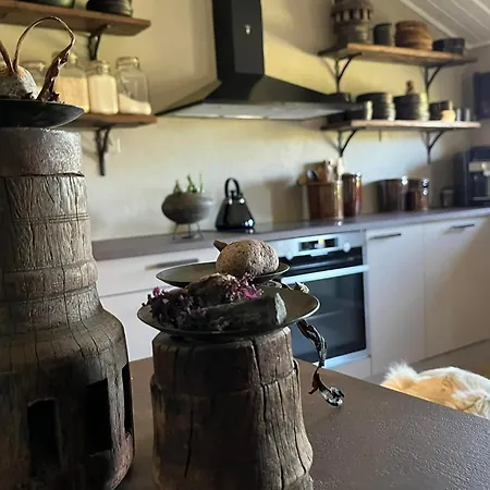 Palm 프레데릭스하운