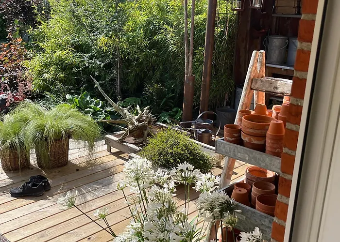 Palm * フレデリクスハウン