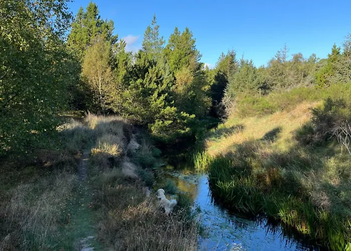 ホームステイ Palm フレデリクスハウン