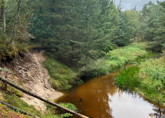 ホームステイ Palm *