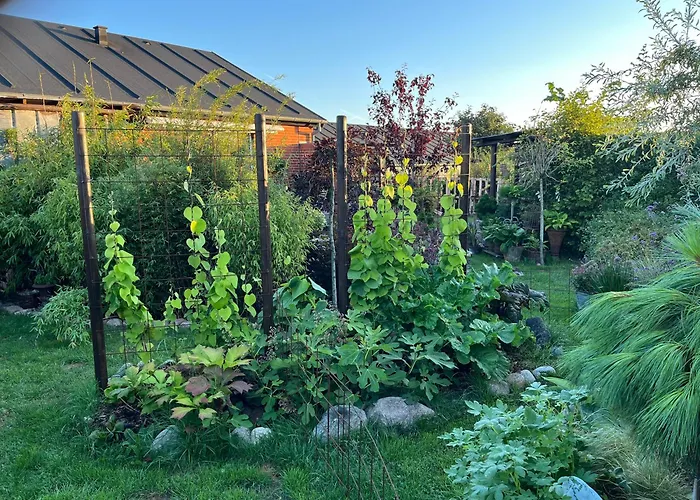 ホームステイ Palm