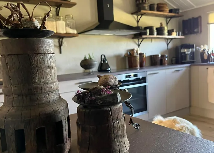 Palm 프레데릭스하운