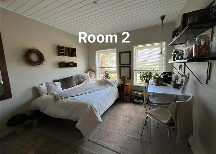 Palm * 프레데릭스하운